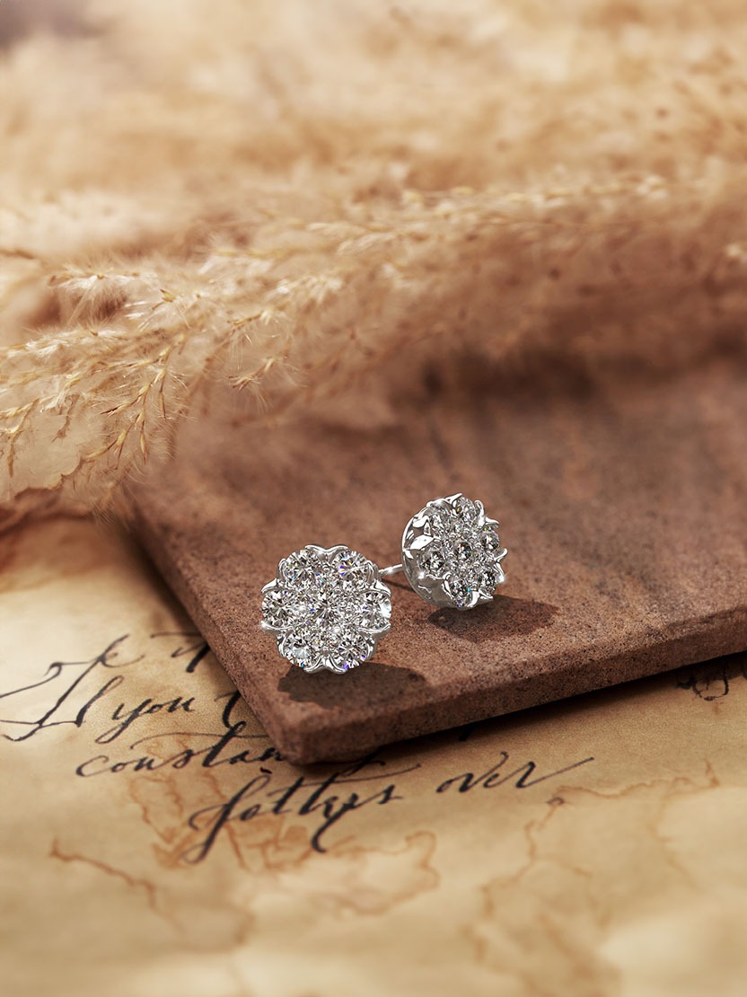 Stunning stud earrings